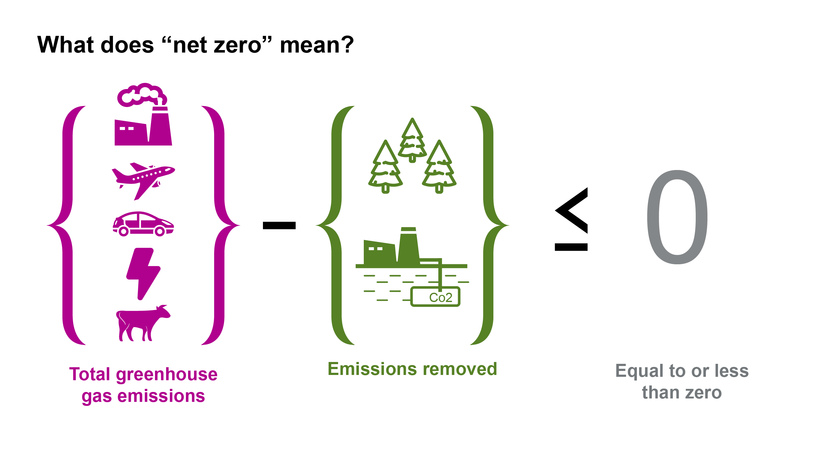 Net zero means, total greenhouse gas emissions minus emissions that are removed.